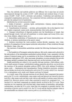 Biological and Bioorganic Chemistry: in 2 books. Book 2. Biological Chemistry: textbook / Yu.I. Gubsky, I.V. Nizhenkovska, M.M. Korda et al.