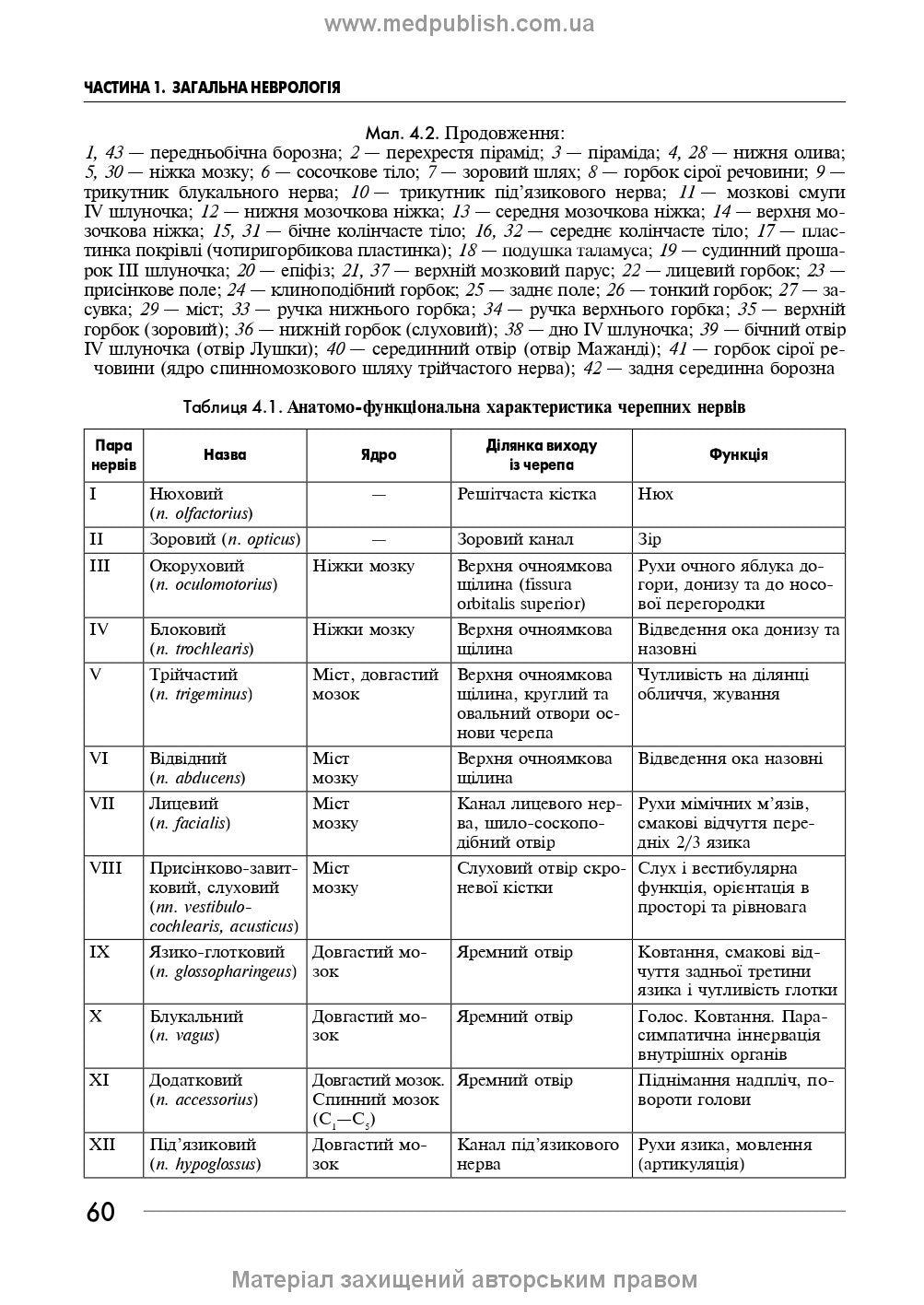 Neurology: a textbook / I.A. Hryhorova, L.I. Sokolova, R.D. Herasymchuk et al. — 3rd edition