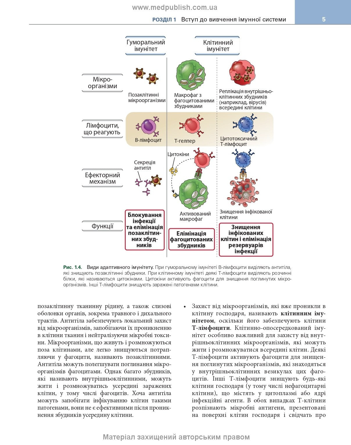 Basic Immunology: Functions and Disorders of the Immune System, 6th Edition / Abul K. Abbas, Andrew H. Lichtman, Shiv Pillai