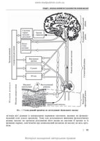 Therapeutic and Rehabilitation Massage: A Textbook / D.V. Vakulenko, L.O. Vakulenko, O.V. Kutakova, H.V. Prylutska