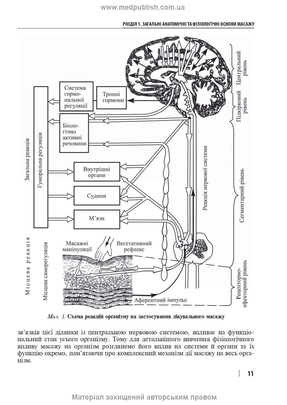 Therapeutic and Rehabilitation Massage: A Textbook / D.V. Vakulenko, L.O. Vakulenko, O.V. Kutakova, H.V. Prylutska