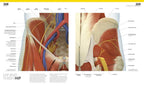 The Complete Human Body. The Definitive Visual Guide / Alice Roberts