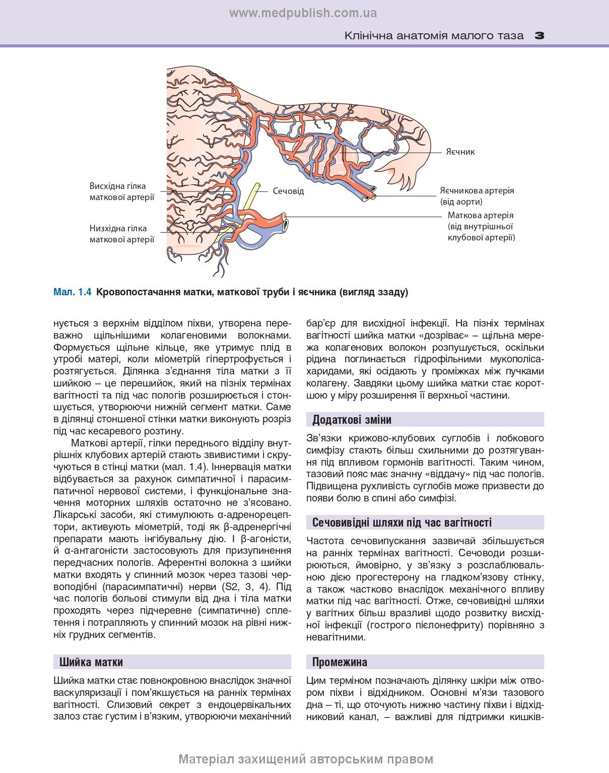 Clinical Obstetrics and Gynaecology: 4th Edition / Brian A. Magowan, Philip Owen, Andrew Thomson