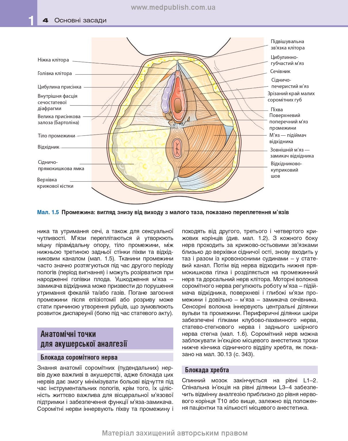 Clinical Obstetrics and Gynaecology: 4th Edition / Brian A. Magowan, Philip Owen, Andrew Thomson