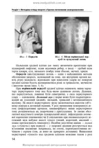 Diseases of the Respiratory System in Family Medicine: A Textbook / L.S. Babinets, I.O. Borovyk, L.V. Andriuk