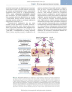 Basic Immunology: Functions and Disorders of the Immune System, 6th Edition / Abul K. Abbas, Andrew H. Lichtman, Shiv Pillai