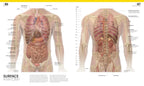 The Complete Human Body. The Definitive Visual Guide / Alice Roberts