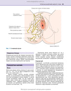 Clinical Obstetrics and Gynaecology: 4th Edition / Brian A. Magowan, Philip Owen, Andrew Thomson