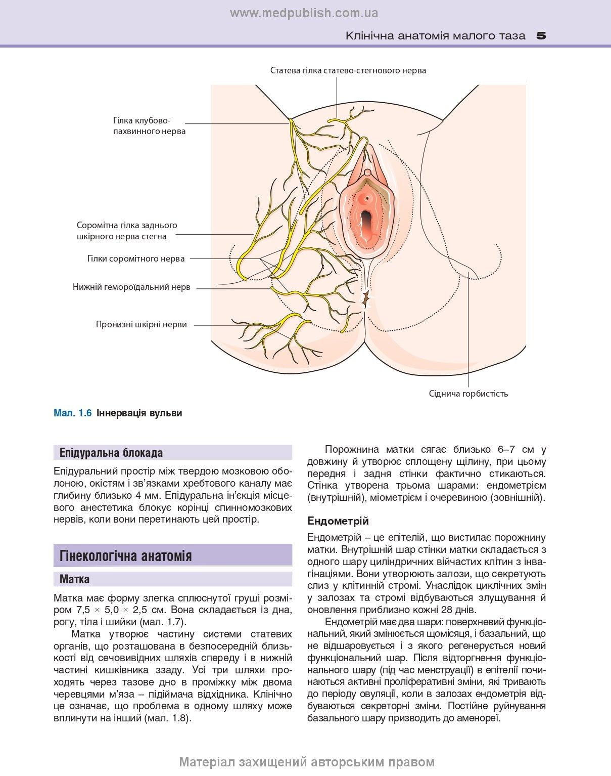 Clinical Obstetrics and Gynaecology: 4th Edition / Brian A. Magowan, Philip Owen, Andrew Thomson