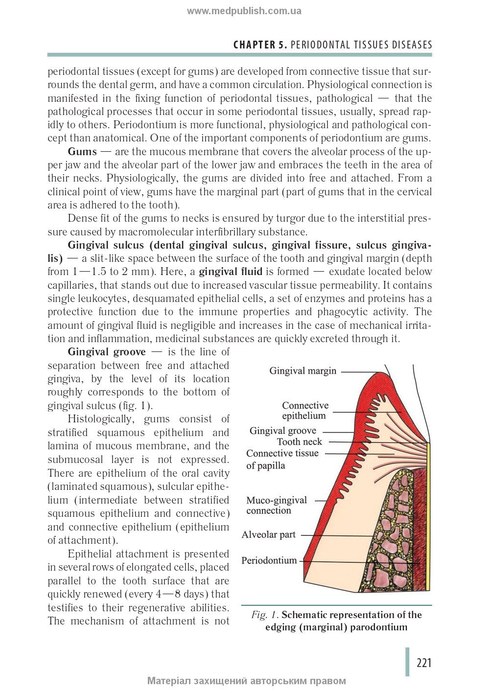Stomatology: in 2 books. Book 2: textbook / M.M. Rozhko, Z.B. Popovych, V.D. Kuroiedova et al.