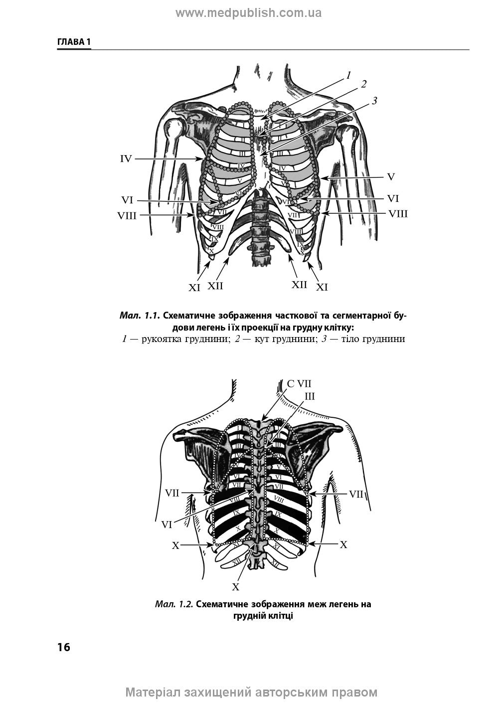 Pediatric Pulmonology: a textbook / O.L. Tsymbalista, Z.V. Vovk, N.Ya. Mytnyk et al. — 2nd edition