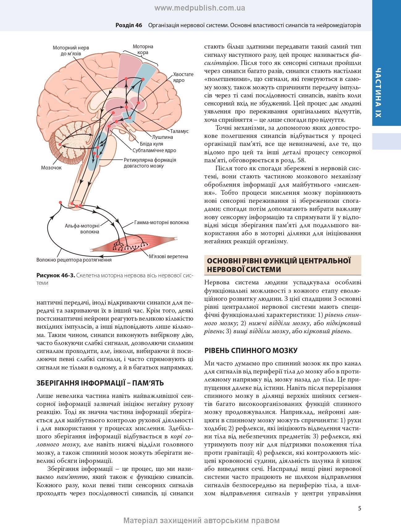 Guyton and Hall Textbook of Medical Physiology: 14th Edition: in 2 volumes. Volume 2 / John E. Hall, Michael E. Hall