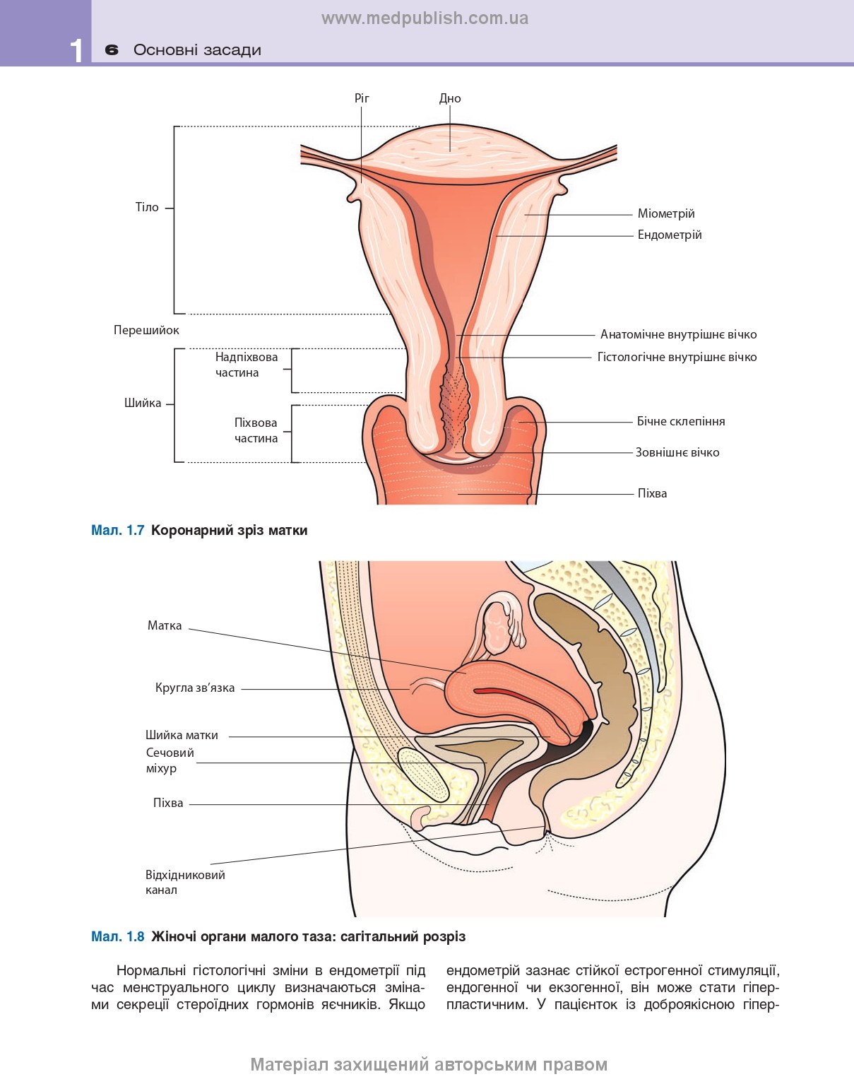 Clinical Obstetrics and Gynaecology: 4th Edition / Brian A. Magowan, Philip Owen, Andrew Thomson