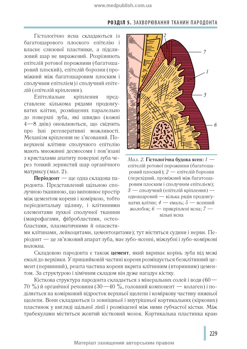 Dentistry: in 2 books. — Book 2: Textbook (Higher Educational Institutions of III—IV Accreditation Levels) / M.M. Rozhko, I.I. Kyrylenko, O.H. Denysenko, et al.; edited by M.M. Rozhko. — 2nd ed.