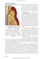 Stomatology: in 2 books. Book 2: textbook / M.M. Rozhko, Z.B. Popovych, V.D. Kuroiedova et al.
