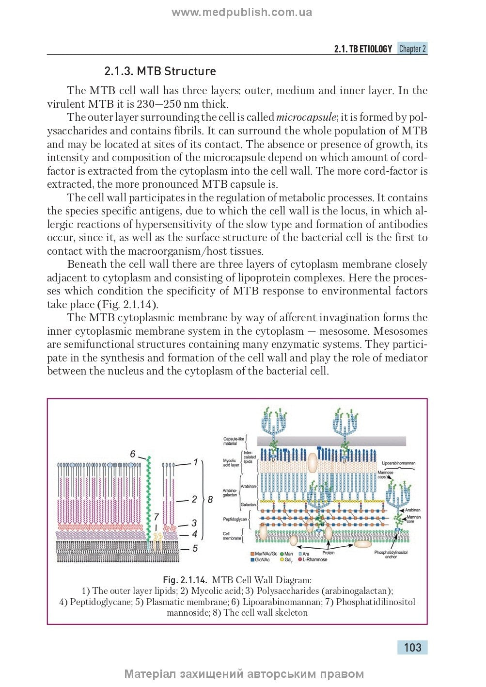 Phthisiology: textbook / V.I. Petrenko, O.K. Asmolov, M.G. Boyko et al.; edited by V.I. Petrenko. — 2nd edition