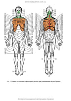Therapeutic and Rehabilitation Massage: A Textbook / D.V. Vakulenko, L.O. Vakulenko, O.V. Kutakova, H.V. Prylutska
