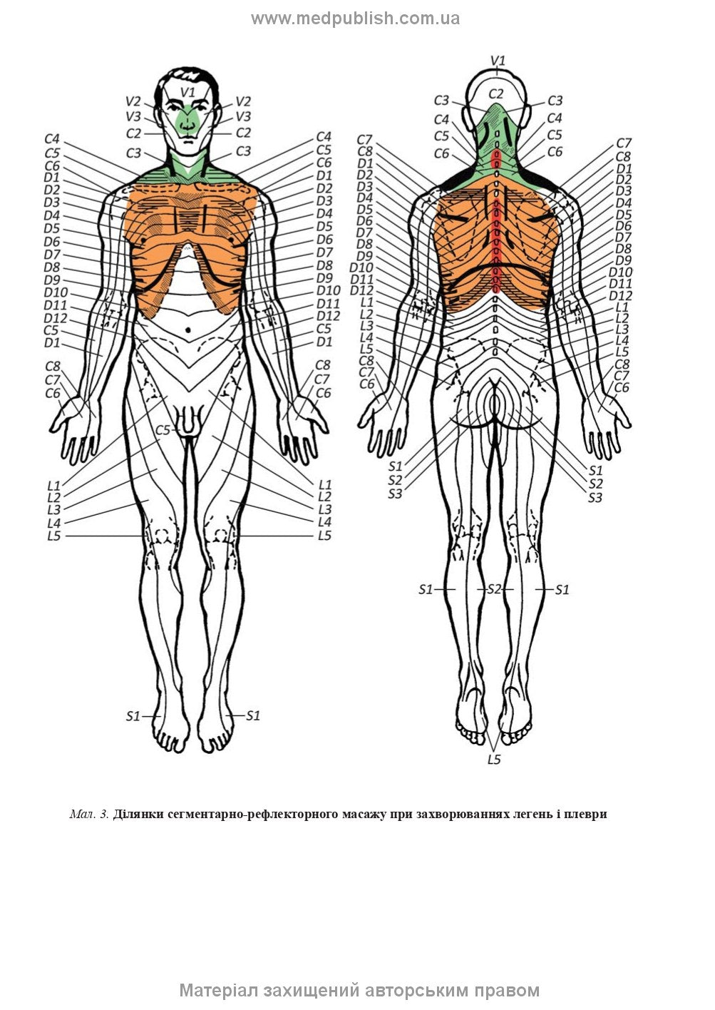 Therapeutic and Rehabilitation Massage: A Textbook / D.V. Vakulenko, L.O. Vakulenko, O.V. Kutakova, H.V. Prylutska