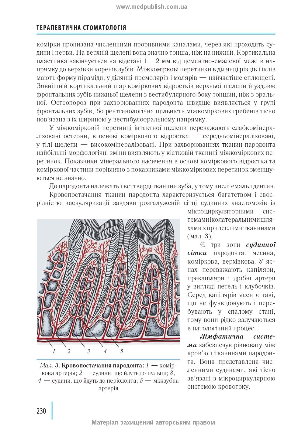 Dentistry: in 2 books. — Book 2: Textbook (Higher Educational Institutions of III—IV Accreditation Levels) / M.M. Rozhko, I.I. Kyrylenko, O.H. Denysenko, et al.; edited by M.M. Rozhko. — 2nd ed.