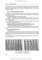Maxillofacial Surgery: a textbook / O.O. Tymofieiev. — 3rd edition