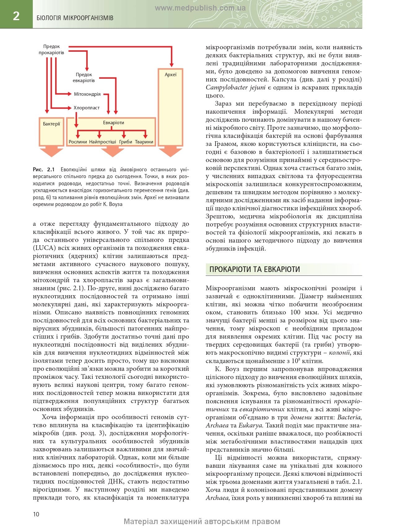 Medical Microbiology. A Guide to Microbial Infections: Pathogenesis, Immunity, Laboratory Diagnosis and Control: 19th Edition: in 2 Volumes. Volume 1 / Michael R. Barer, Will Irving, Andrew Swann, Nelun Perera