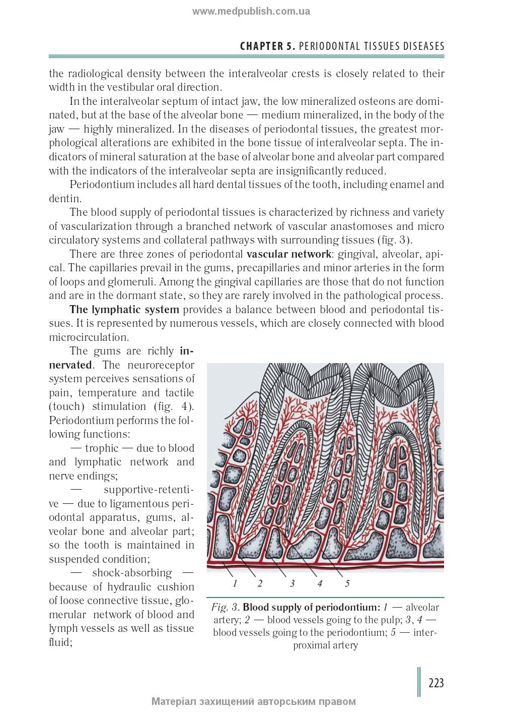 Stomatology: in 2 books. Book 2: textbook / M.M. Rozhko, Z.B. Popovych, V.D. Kuroiedova et al.