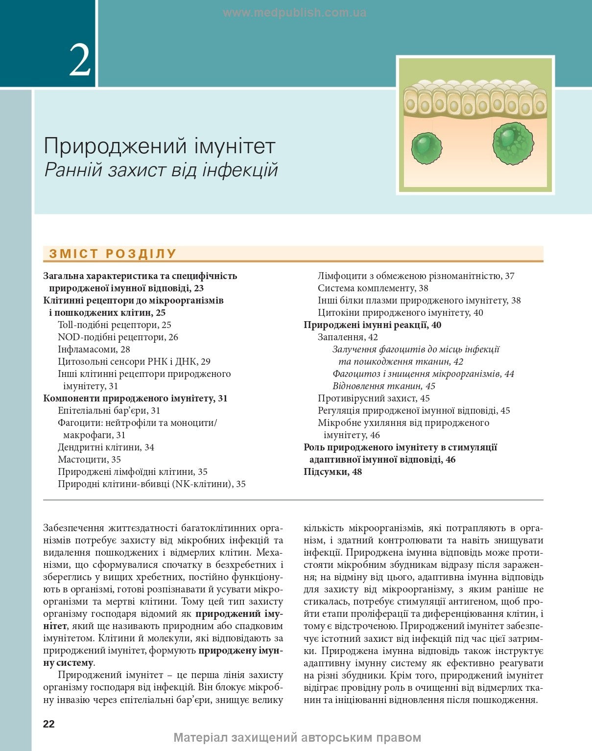 Basic Immunology: Functions and Disorders of the Immune System, 6th Edition / Abul K. Abbas, Andrew H. Lichtman, Shiv Pillai