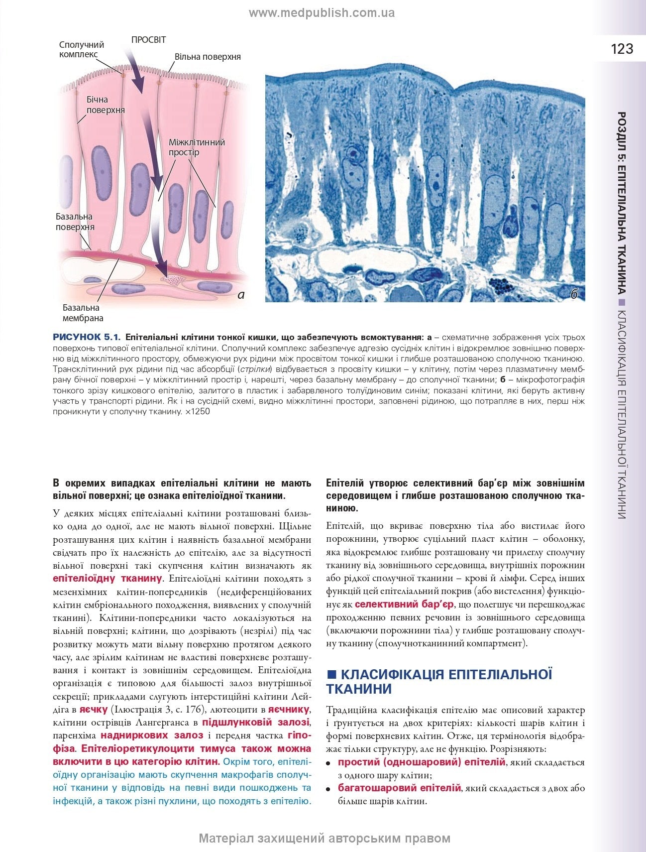 Histology: A Text and Atlas. With Correlated Cell and Molecular Biology: 8th Edition: In 2 Volumes. Volume 1 / Wojciech Pawlina, Michael H. Ross