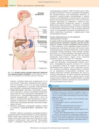 Robbins Basic Pathology: In 2 Volumes. Volume 2 / Vinay Kumar, Abul K. Abbas, Jon C. Aster; translated from the 10th English edition