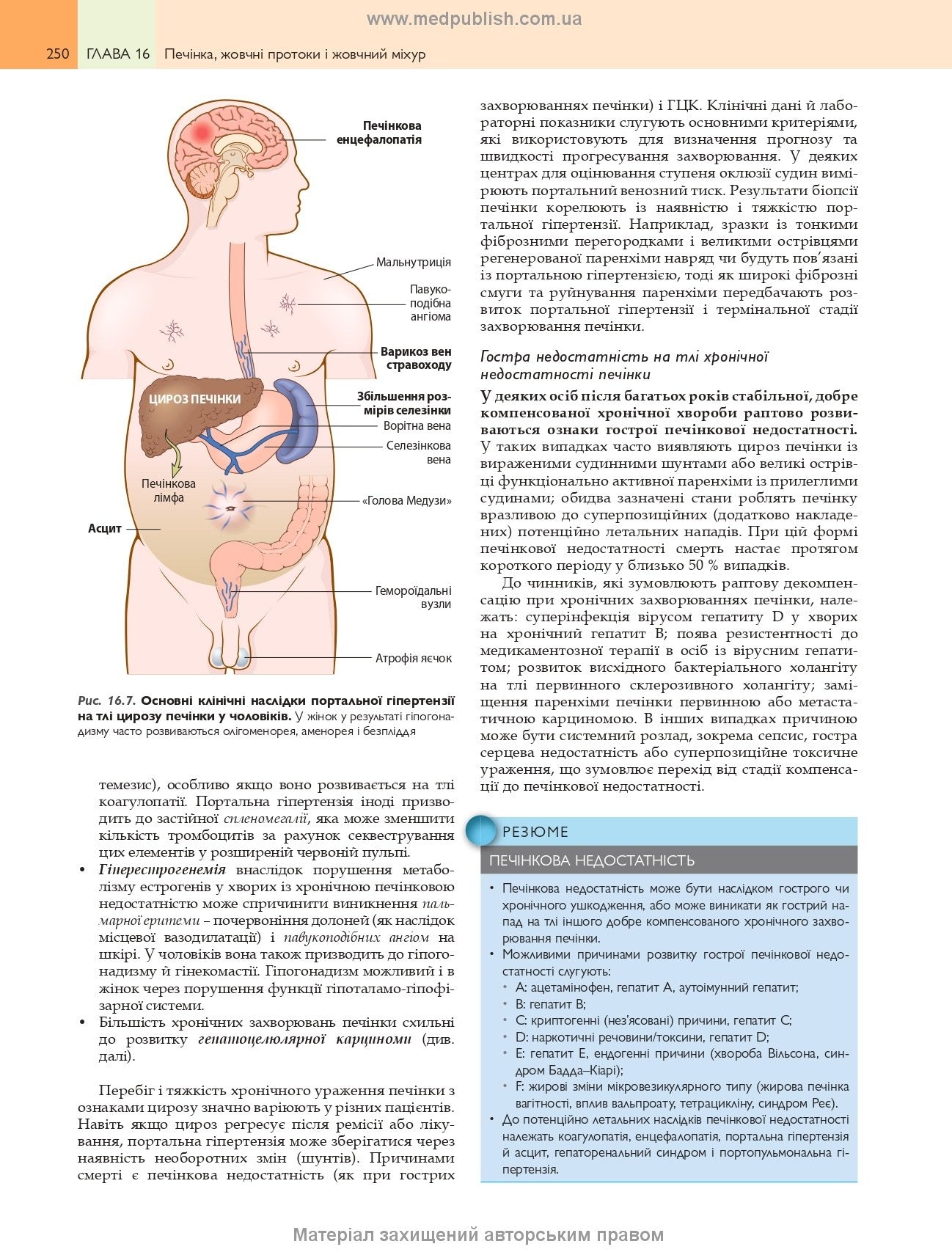 Robbins Basic Pathology: In 2 Volumes. Volume 2 / Vinay Kumar, Abul K. Abbas, Jon C. Aster; translated from the 10th English edition