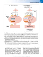 Rang and Dale's Pharmacology: 9th Edition: In 2 Volumes. Vol. 2 / James M. Ritter, Rod Flower, Graeme Henderson, Yoon Kong Loke, David MacEwan, Humphrey P. Rang