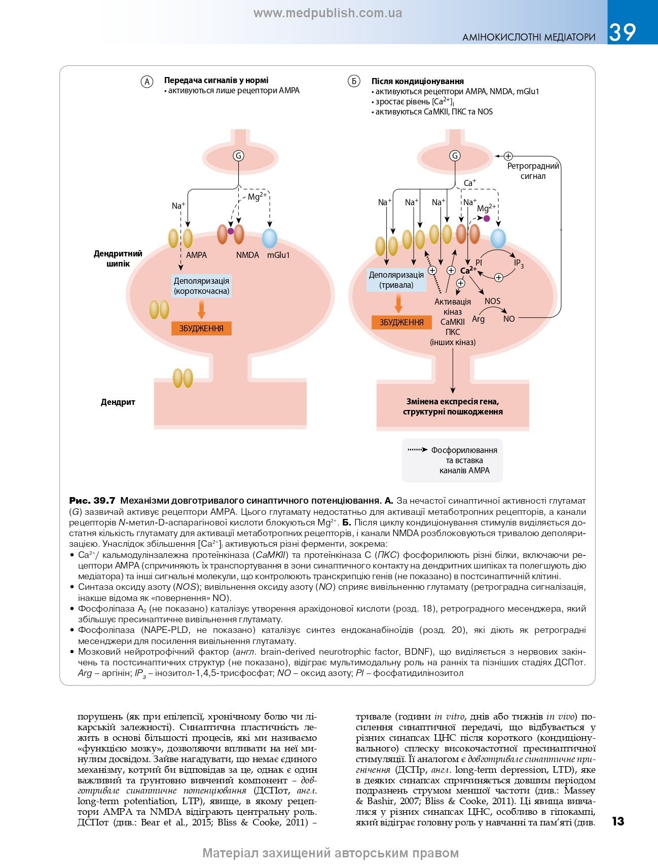 Rang and Dale's Pharmacology: 9th Edition: In 2 Volumes. Vol. 2 / James M. Ritter, Rod Flower, Graeme Henderson, Yoon Kong Loke, David MacEwan, Humphrey P. Rang