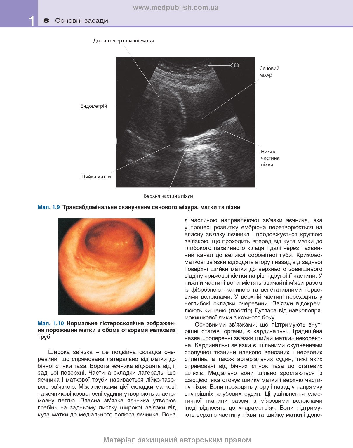 Clinical Obstetrics and Gynaecology: 4th Edition / Brian A. Magowan, Philip Owen, Andrew Thomson