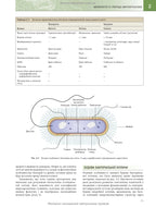 Medical Microbiology. A Guide to Microbial Infections: Pathogenesis, Immunity, Laboratory Diagnosis and Control: 19th Edition: in 2 Volumes. Volume 1 / Michael R. Barer, Will Irving, Andrew Swann, Nelun Perera