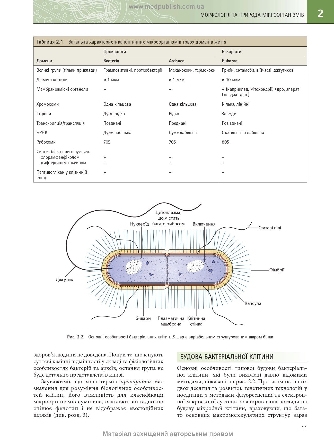 Medical Microbiology. A Guide to Microbial Infections: Pathogenesis, Immunity, Laboratory Diagnosis and Control: 19th Edition: in 2 Volumes. Volume 1 / Michael R. Barer, Will Irving, Andrew Swann, Nelun Perera