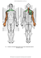 Therapeutic and Rehabilitation Massage: A Textbook / D.V. Vakulenko, L.O. Vakulenko, O.V. Kutakova, H.V. Prylutska