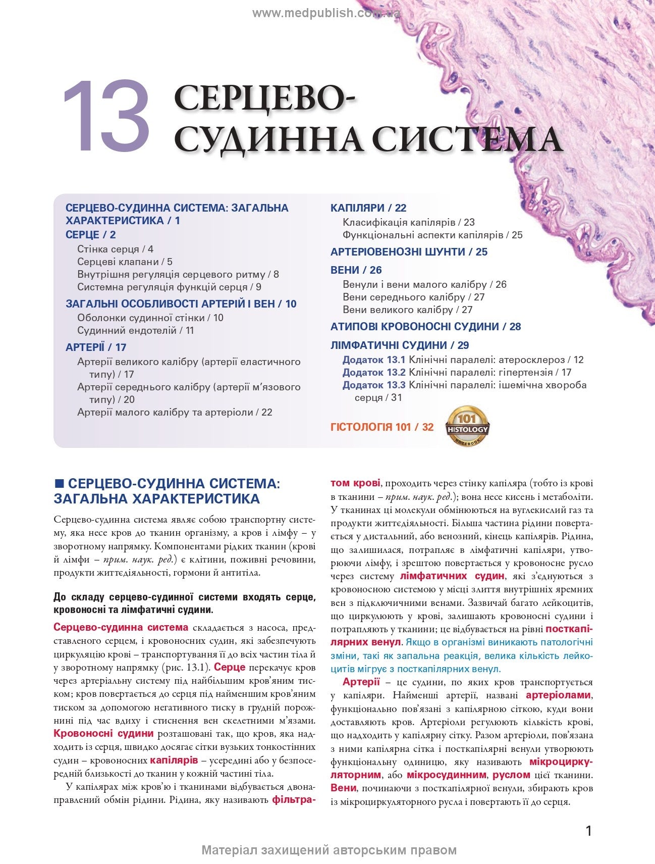 Histology: A Text and Atlas. With Correlated Cell and Molecular Biology: 8th Edition: In 2 Volumes. Volume 2 / Wojciech Pawlina, Michael H. Ross