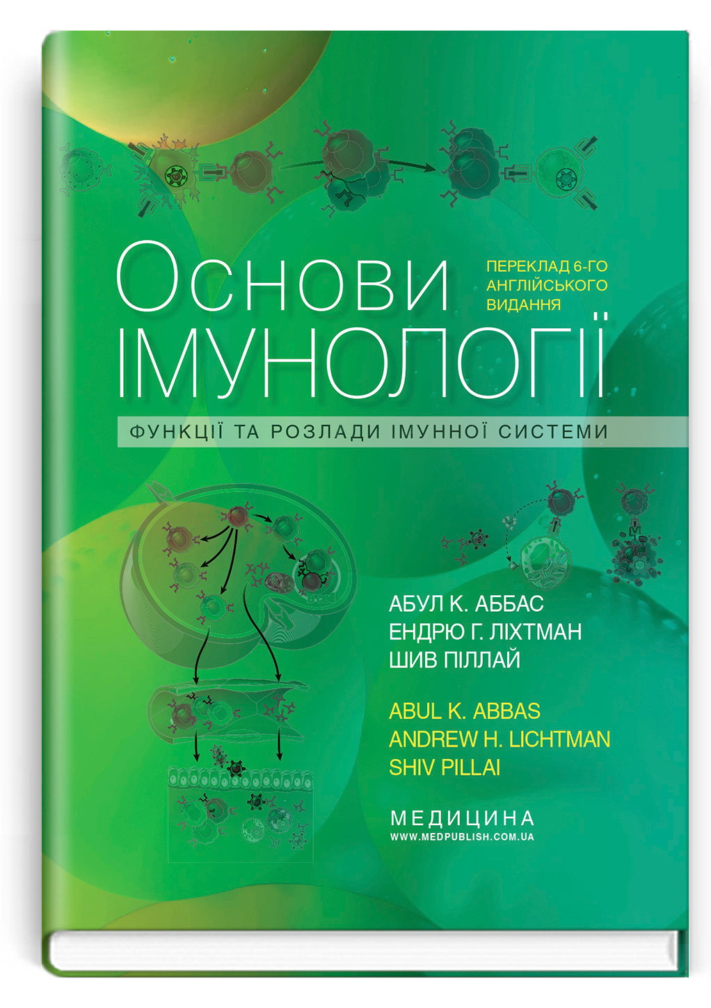 Basic Immunology: Functions and Disorders of the Immune System, 6th Edition / Abul K. Abbas, Andrew H. Lichtman, Shiv Pillai