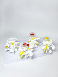 Spinal osteoporosis model