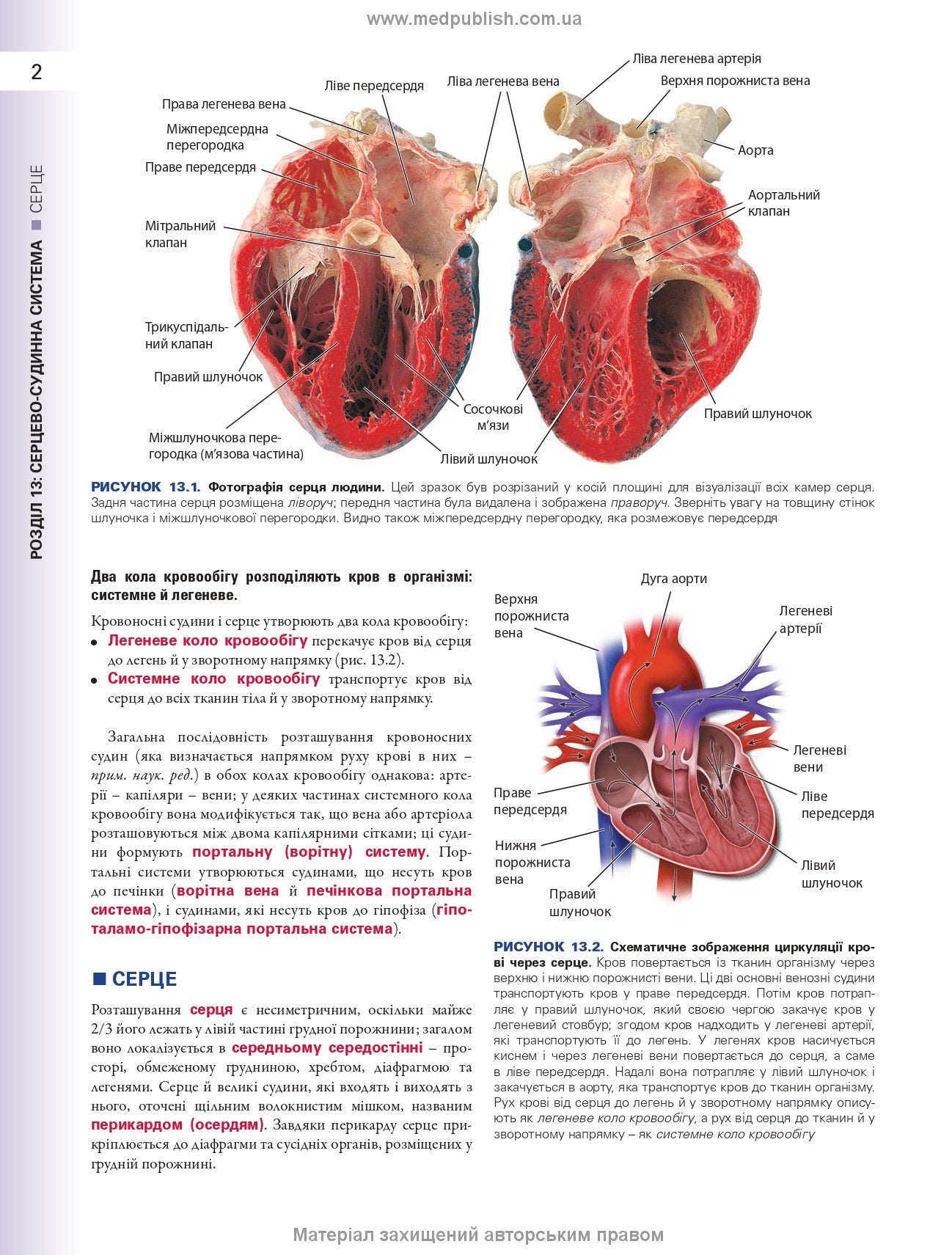 Histology: A Text and Atlas. With Correlated Cell and Molecular Biology: 8th Edition: In 2 Volumes. Volume 2 / Wojciech Pawlina, Michael H. Ross