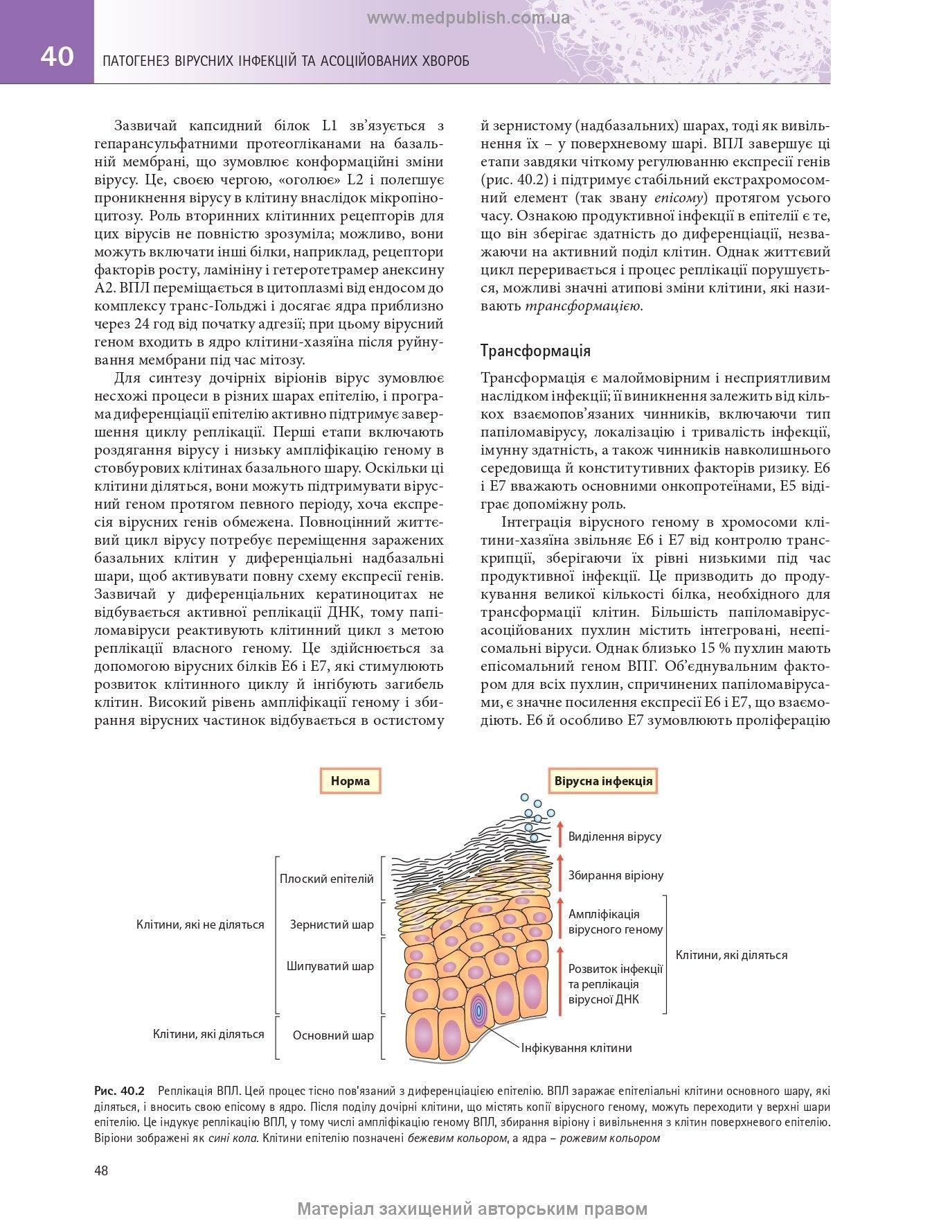 Medical Microbiology. A Guide to Microbial Infections: Pathogenesis, Immunity, Laboratory Diagnosis and Control: 19th Edition: in 2 volumes. Volume 2 / Michael R. Barer, Will Irving, Andrew Swann, Nelun Perera