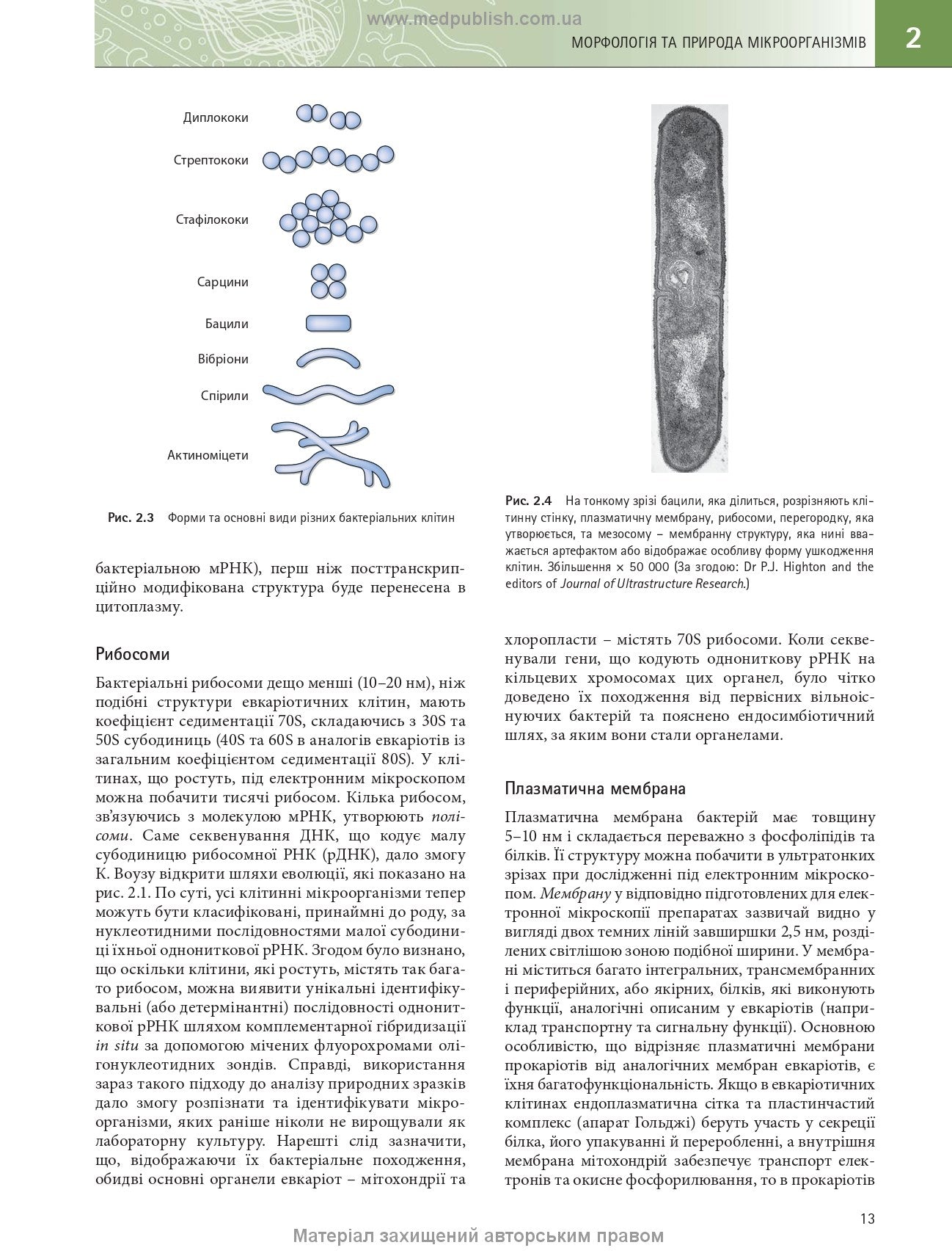 Medical Microbiology. A Guide to Microbial Infections: Pathogenesis, Immunity, Laboratory Diagnosis and Control: 19th Edition: in 2 Volumes. Volume 1 / Michael R. Barer, Will Irving, Andrew Swann, Nelun Perera
