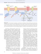 Guyton and Hall Textbook of Medical Physiology: 14th Edition: in 2 volumes. Volume 2 / John E. Hall, Michael E. Hall