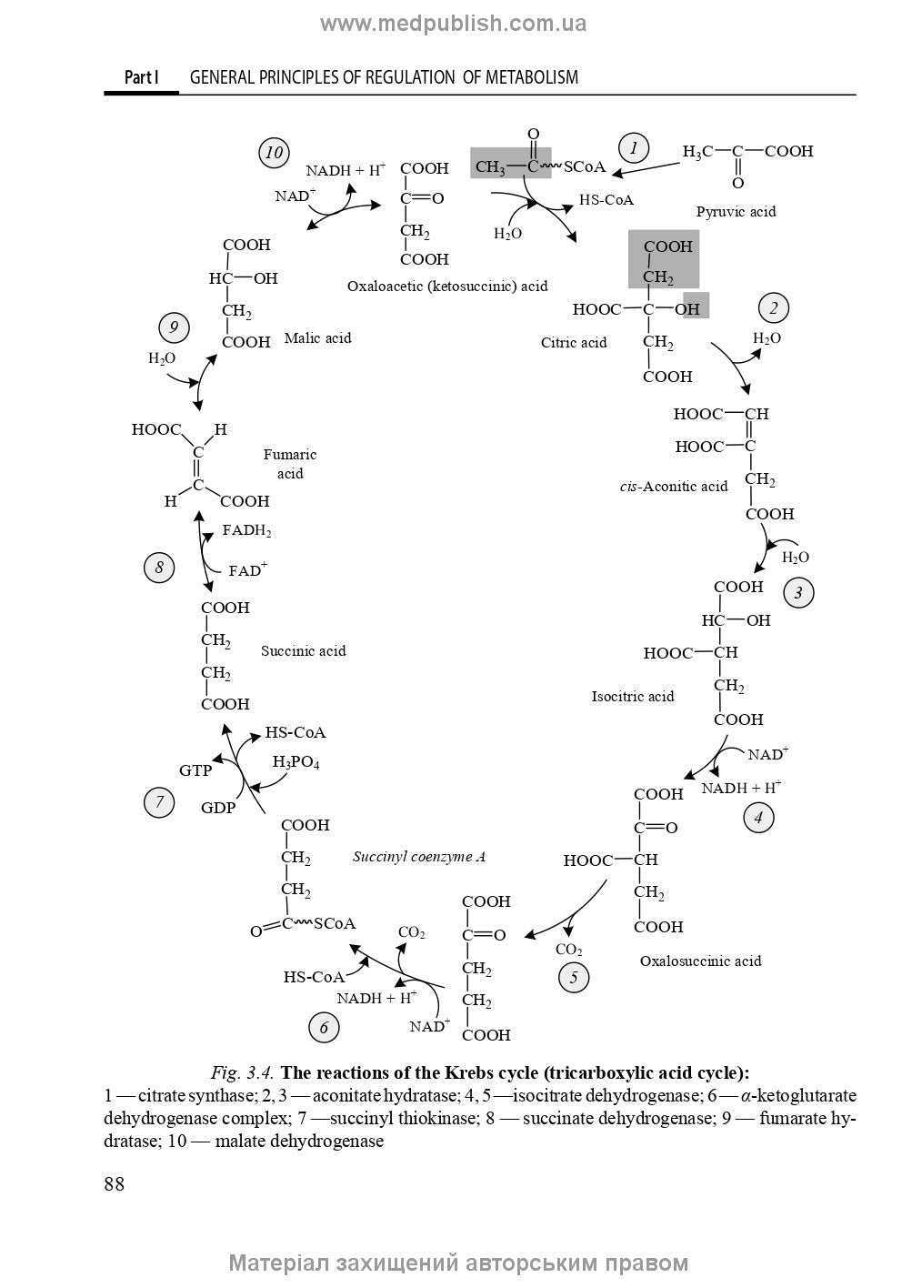Biological and Bioorganic Chemistry: in 2 books. Book 2. Biological Chemistry: textbook / Yu.I. Gubsky, I.V. Nizhenkovska, M.M. Korda et al.