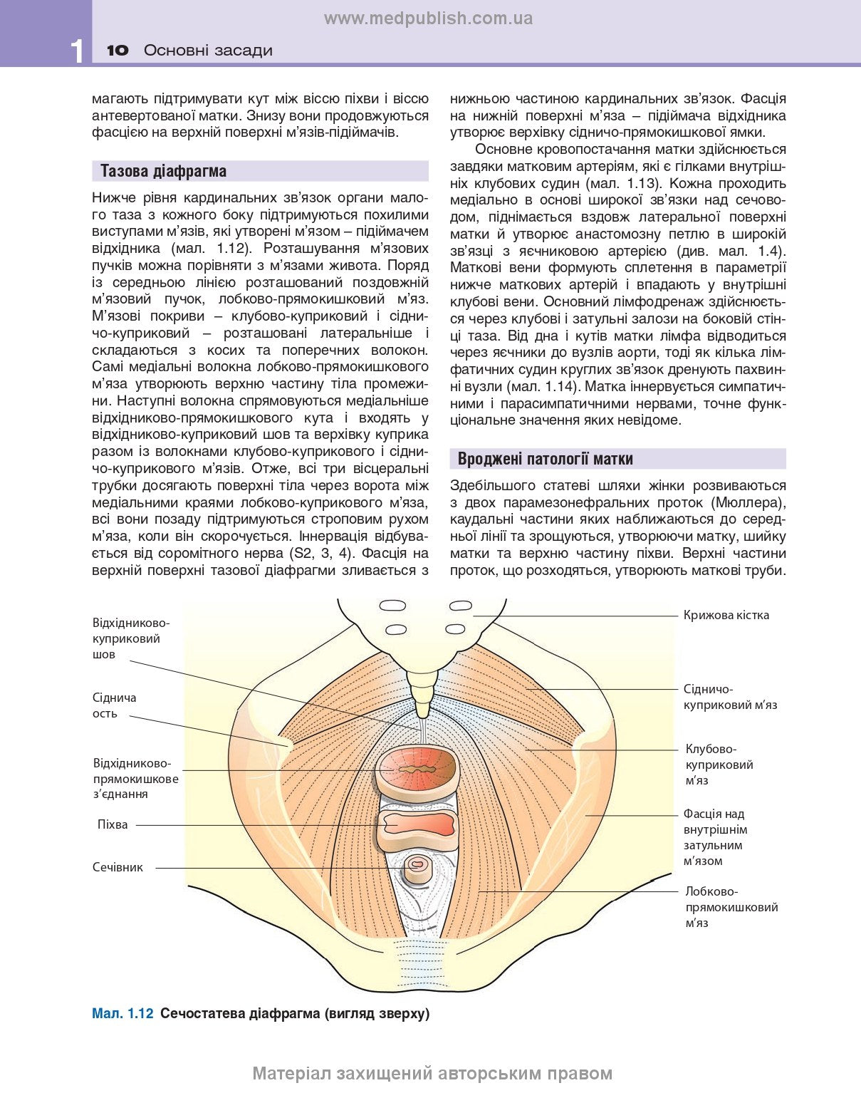 Clinical Obstetrics and Gynaecology: 4th Edition / Brian A. Magowan, Philip Owen, Andrew Thomson