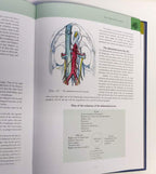 Gray's Anatomy: The Classic 1860 Edition with Original Illustrations by Henry Carter