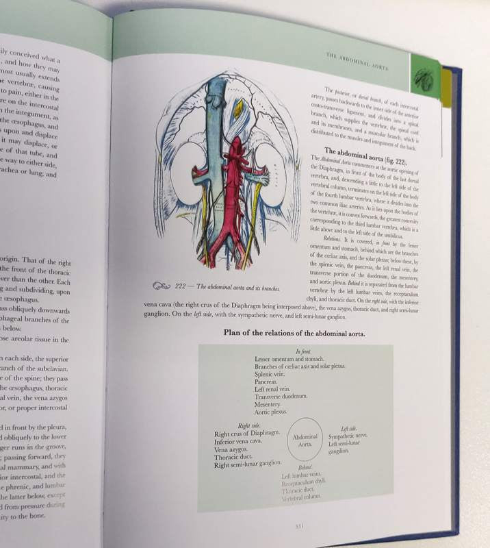 Gray's Anatomy: The Classic 1860 Edition with Original Illustrations by Henry Carter