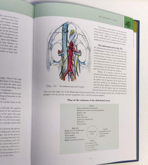 Gray's Anatomy 1860 Edition