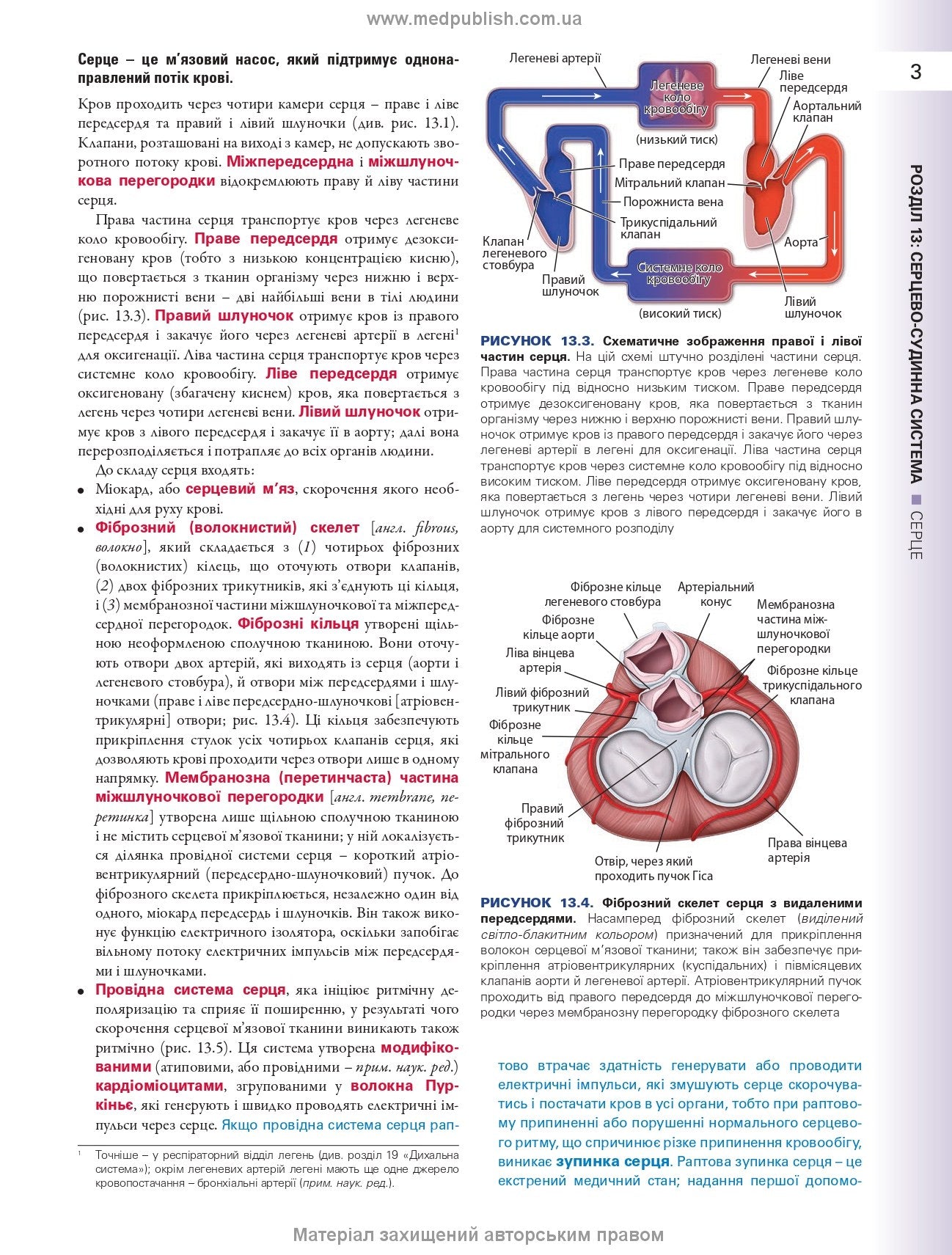 Histology: A Text and Atlas. With Correlated Cell and Molecular Biology: 8th Edition: In 2 Volumes. Volume 2 / Wojciech Pawlina, Michael H. Ross