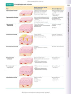 Histology: A Text and Atlas. With Correlated Cell and Molecular Biology: 8th Edition: In 2 Volumes. Volume 1 / Wojciech Pawlina, Michael H. Ross